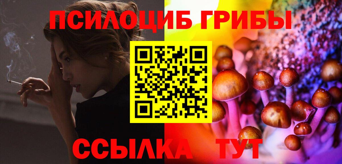 Псилоцибиновые грибы мицелий Майкоп